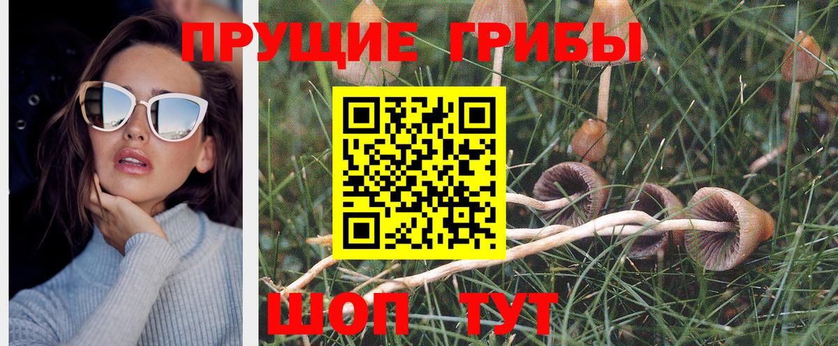 Псилоцибиновые грибы Psilocybe  Вход с VPN  Партизанск 