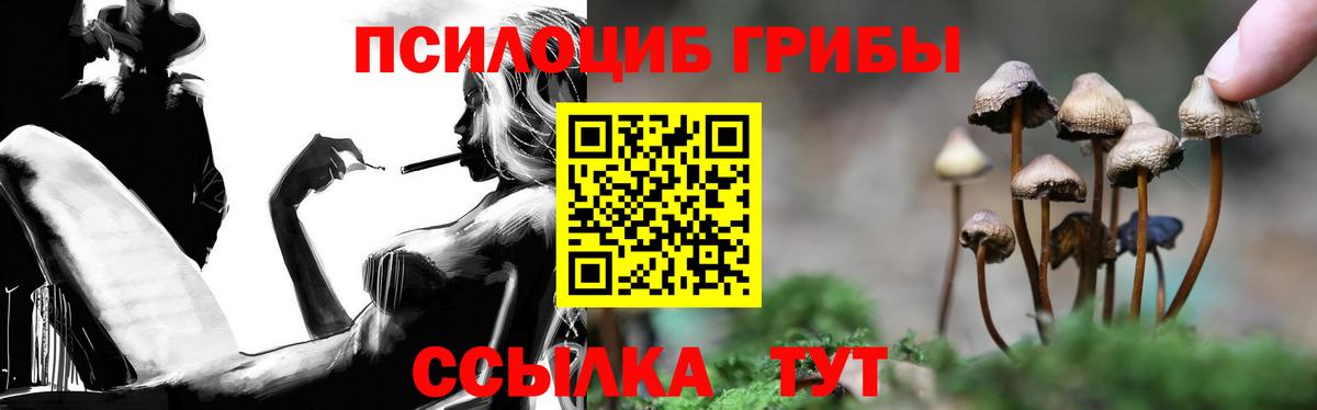 Псилоцибиновые грибы MAGIC MUSHROOMS Партизанск